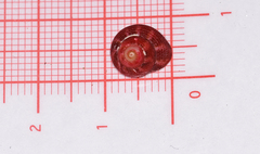 Clanculus corallinus