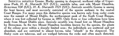 Sanicula saxatilis