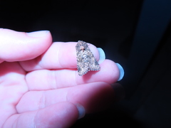 Pseudobryomima fallax