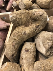 Dioscorea cayenensis