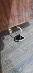 Coprinellus