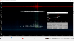 Lasiurus intermedius