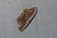 Sabulodes ornatissima