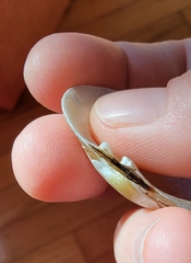 Cambarunio taeniatus