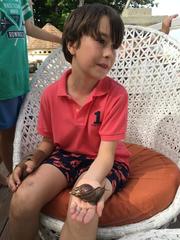 African Giant Snail