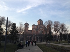 Columba livia domestica
