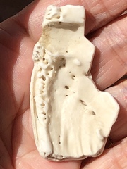 Spatangoida