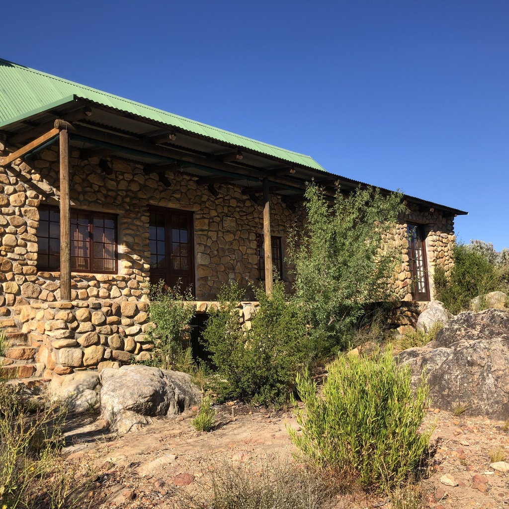 Searsia pendulina, Riversong - mid level cottages surrounds