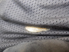 Etheostoma crossopterum