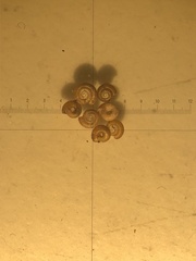 Punctum pygmaeum