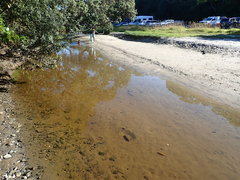 Exosphaeroma planulum