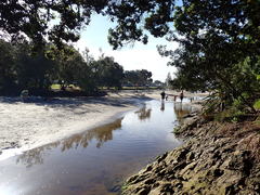 Exosphaeroma planulum