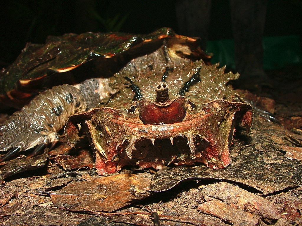 Photo by Galo Zapata Ríos