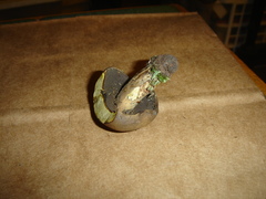 Boletus vermiculosus