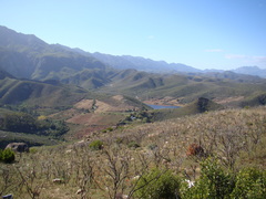 Anginon