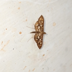 Nausinoe