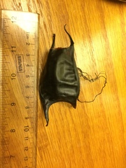 Rostroraja eglanteria