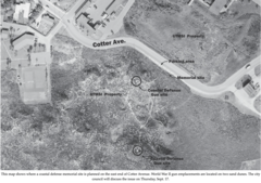 Scutellaria muriculata