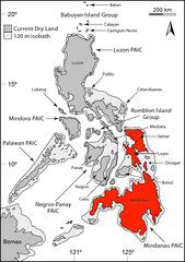 Mindanao Flying Lizard photo 4