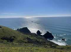 Helminthoglypta stiversiana