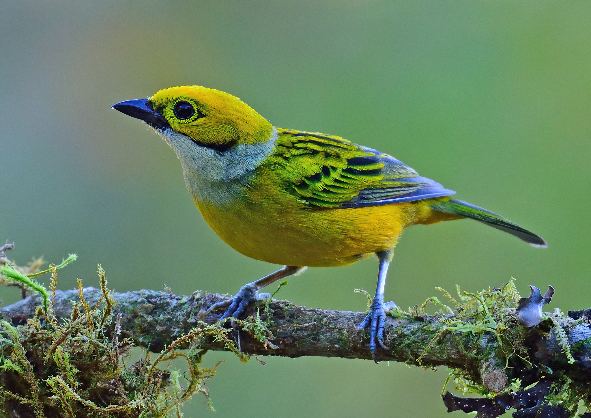 Maftunkor qiz bilan porno onlayn tomosha qiling Keksa odamlarning guruh pornosi