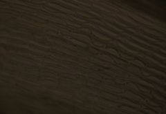 Macromitrium longipes