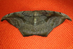 Oxydia scriptipennaria