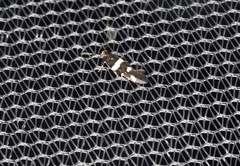 Macrobathra alternatella