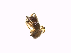 Hyptiotes flavidus