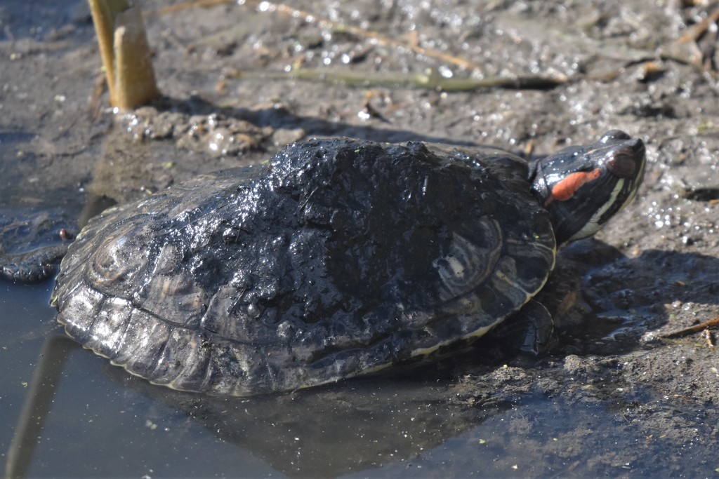 Photo by Braden J. Judson