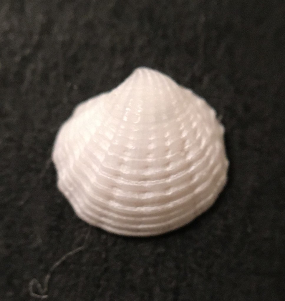 Lovely Miniature Lucine