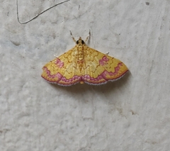 Isocentris