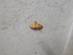 Isocentris