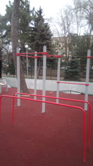 Streptopelia decaocto