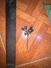 Condaminea corymbosa