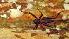 Listroscelis