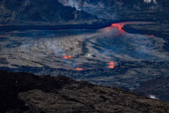 Phaethon lepturus dorotheae