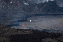 Phaethon lepturus dorotheae