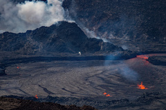 Phaethon lepturus dorotheae