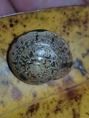 Nitor pudibundus
