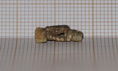 Goeridae
