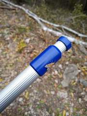 Eucereon phaeoprocta