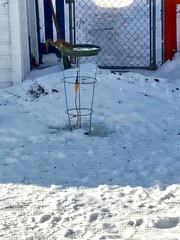 Tamiasciurus hudsonicus