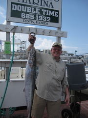 Scomberomorus cavalla