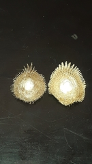 Pilosabia trigona