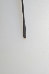 Synthemis flexicauda