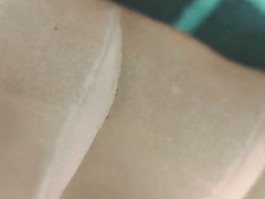 Marasmius pulcherripes