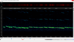 Lasiurus intermedius