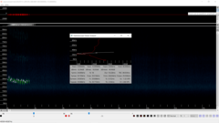 Lasiurus intermedius