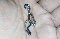 Serpentes